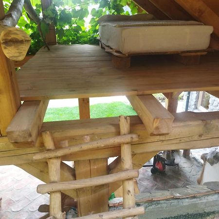 Natur Apartma Rudi Begunje na Gorenjskem Luaran gambar