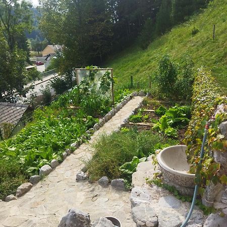 Natur Apartma Rudi Begunje na Gorenjskem Luaran gambar