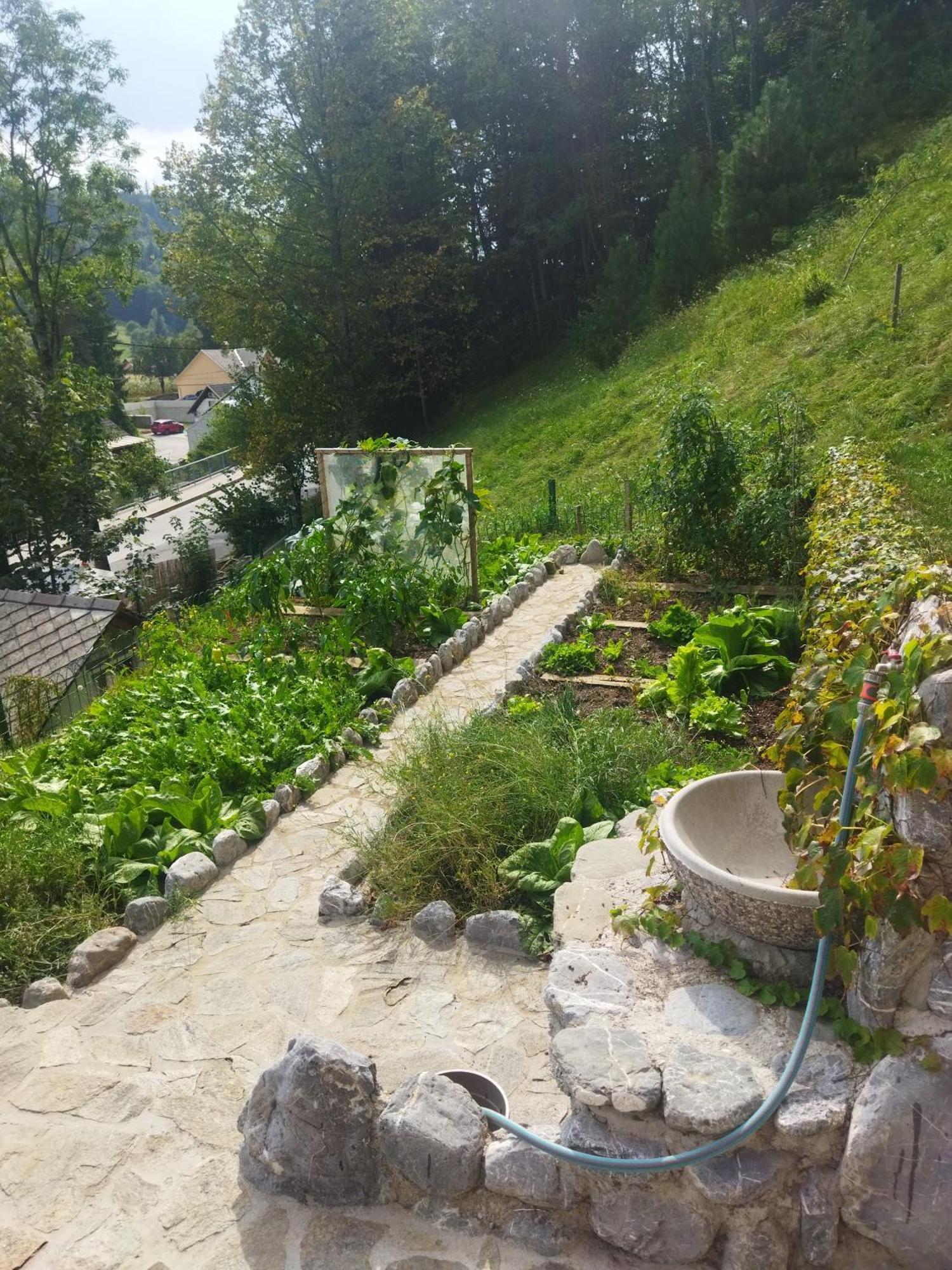 Natur Apartma Rudi Begunje na Gorenjskem Luaran gambar
